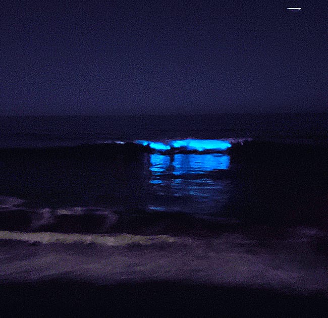 Bioluminescence during May at San Clemente Beach CA